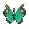 Vivillon Garden